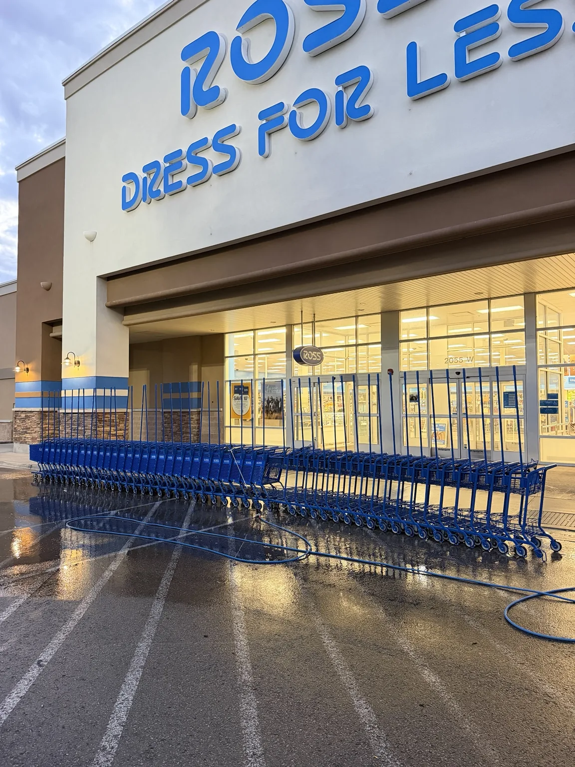 Commercial storefront and shopping carts